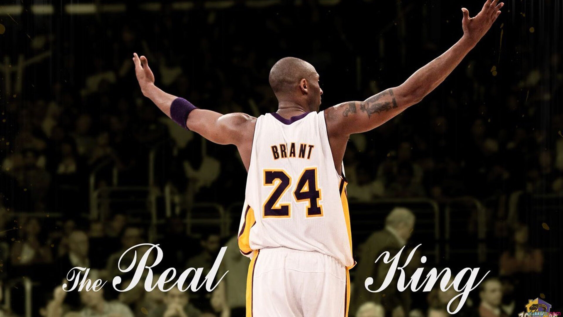 特斯·冯·迪克：南非队的进攻核心，巧妙的脚步令对方防线头痛